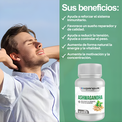 ZenVital™ — Mente en calma. Sueño profundo. Energía real.
