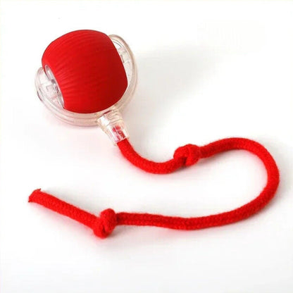 RUEDAVIVA™ – Pelota de aventura interactiva para tus gatos