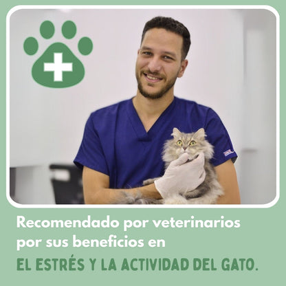 RUEDAVIVA™ – Pelota de aventura interactiva para tus gatos