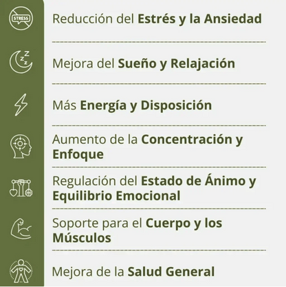 Magnesio Plus® – Relajación, Energía y Sueño Reparador en 30 Días